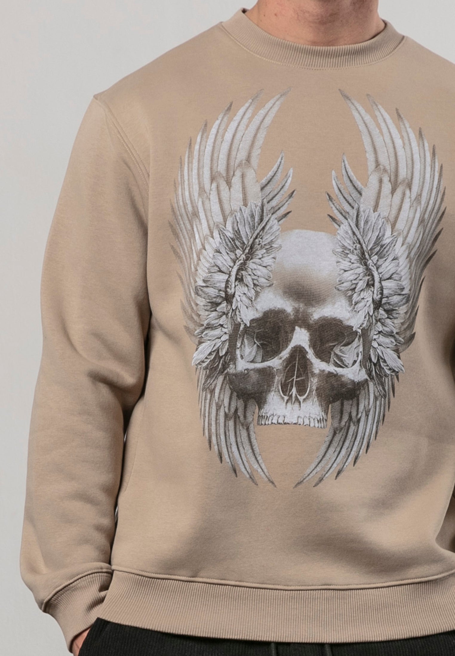 WINGS SKULL SWEAT FAWN