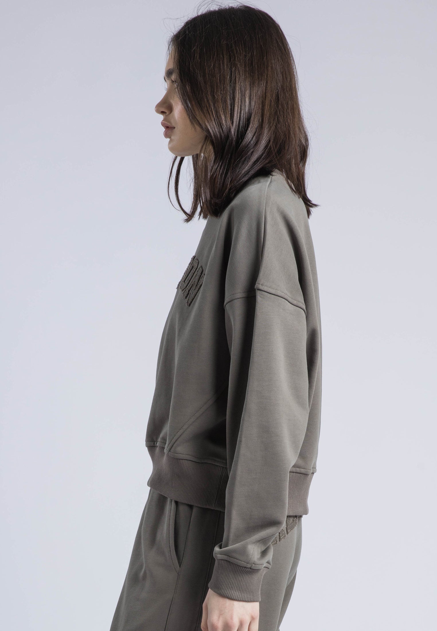 APPLIQUE BATWING SWEAT BRINDLE