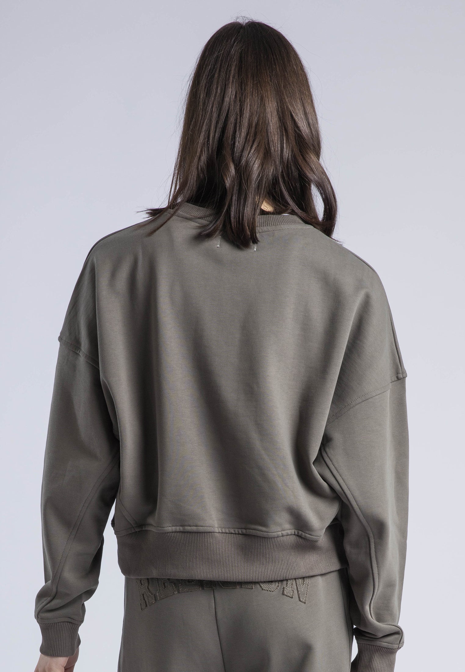APPLIQUE BATWING SWEAT BRINDLE
