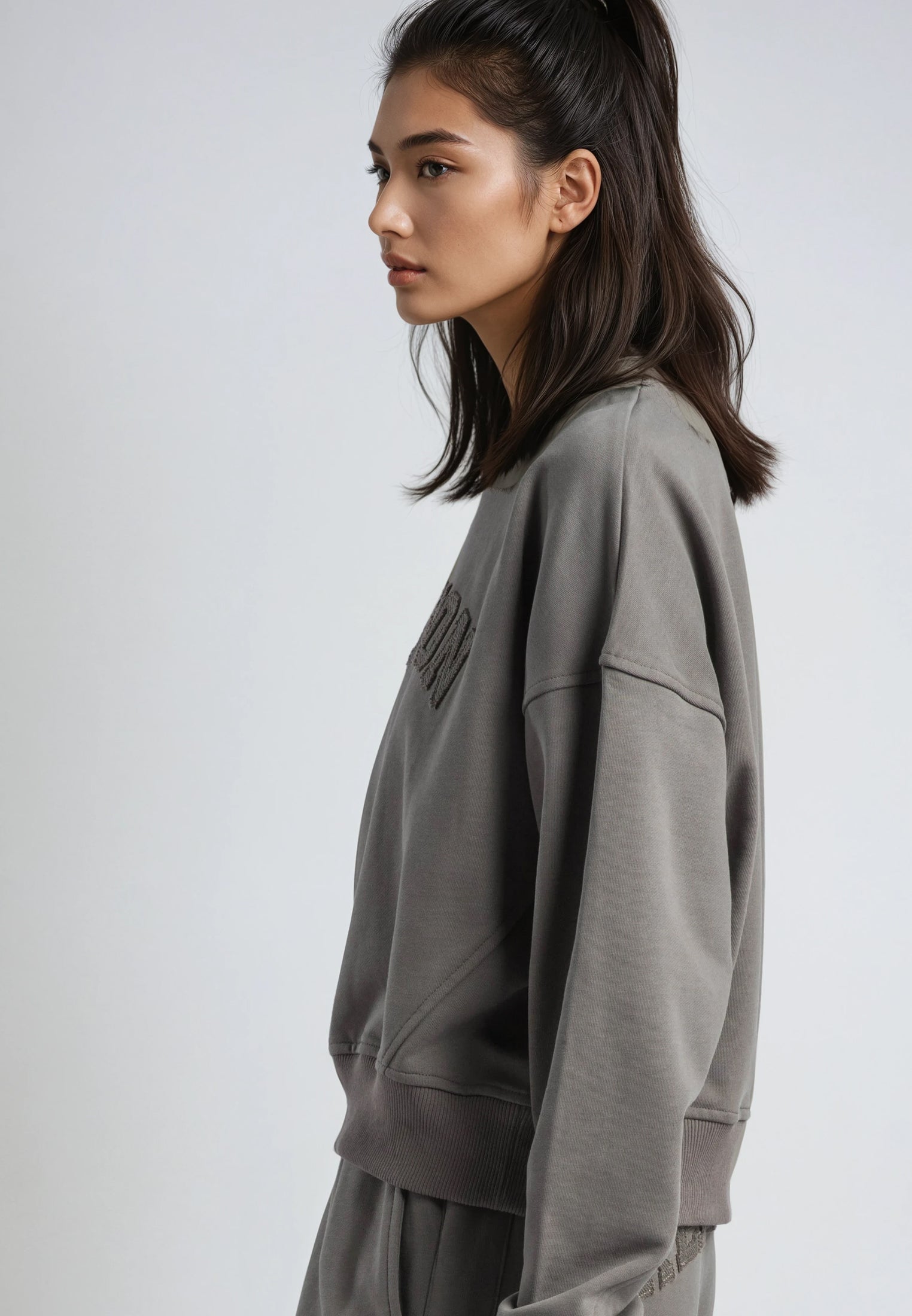 APPLIQUE BATWING SWEAT BRINDLE