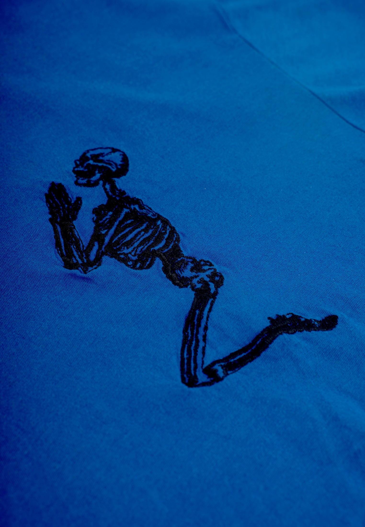 PRAYING SKELETON ORGANIC T-SHIRT BRIGHT BLUE