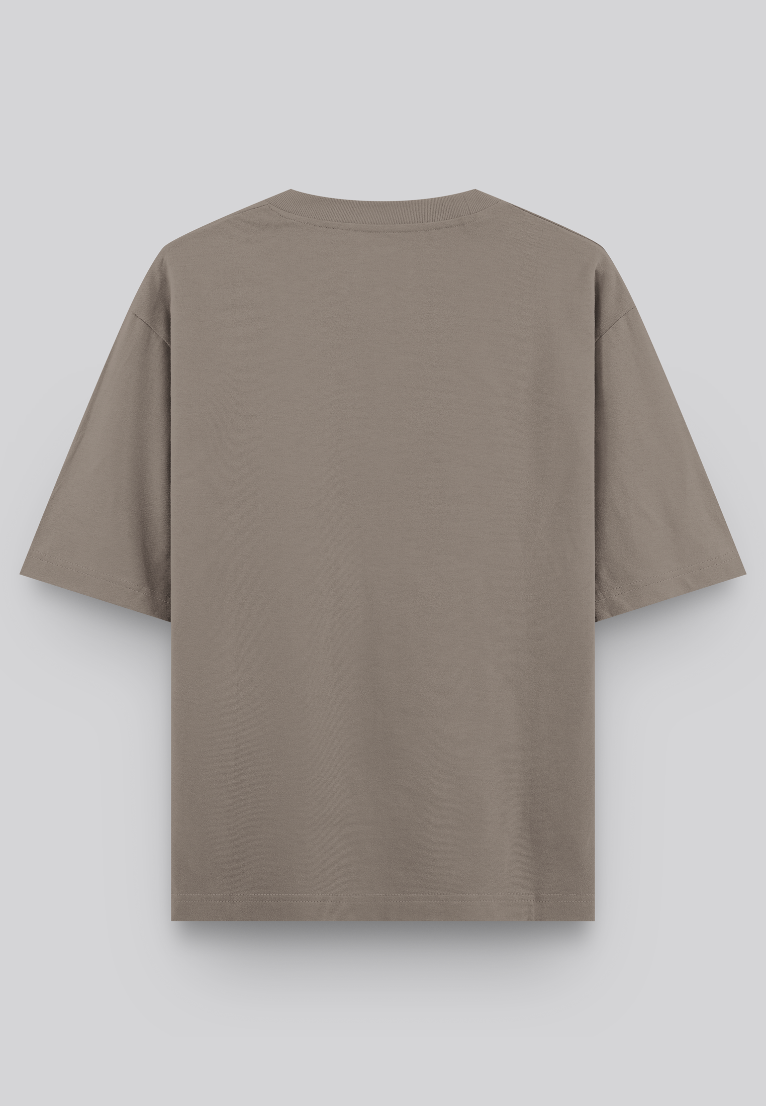 HEAVYWEIGHT BLOCK T-SHIRT DESERT TAUPE