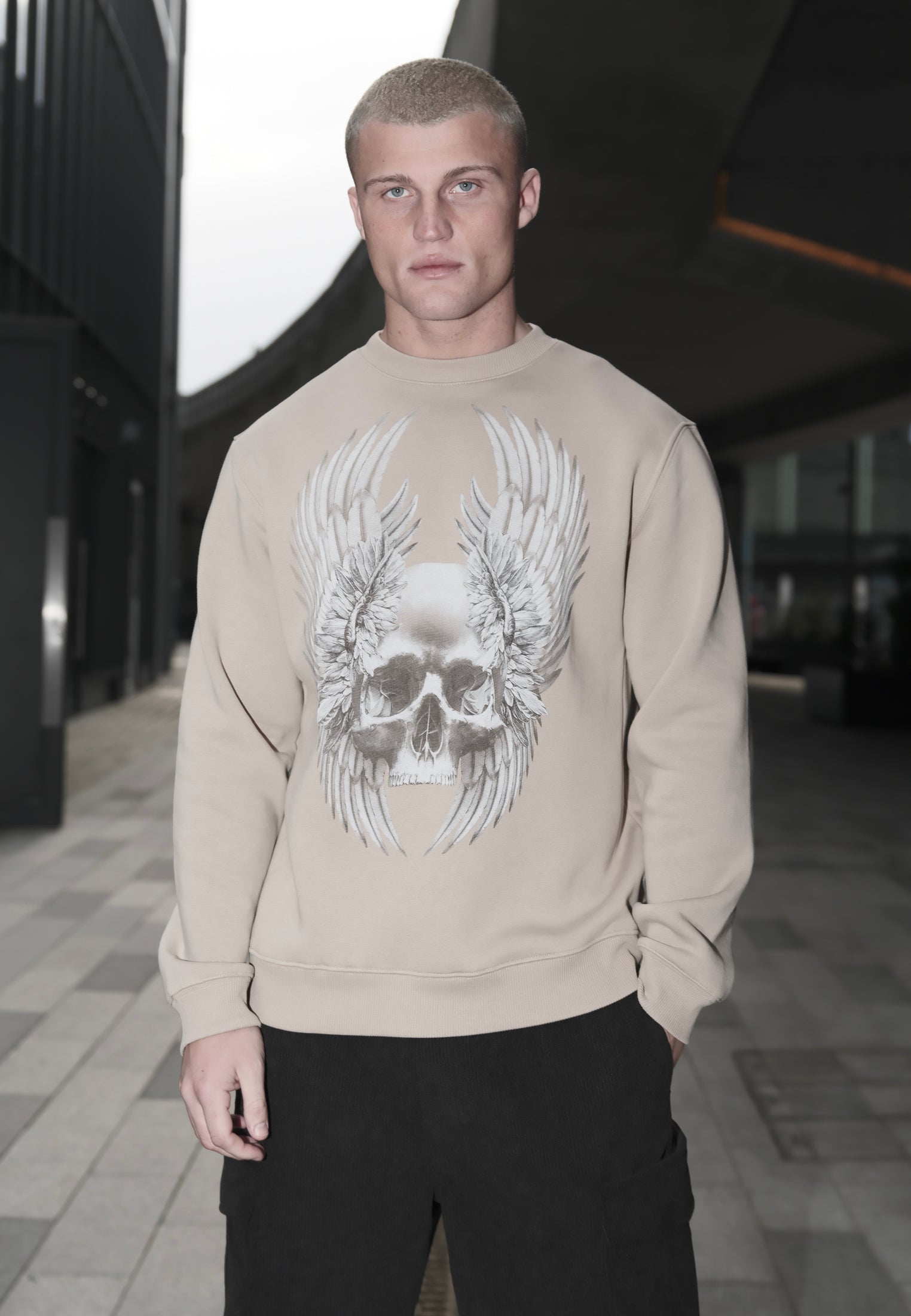 WINGS SKULL SWEAT FAWN