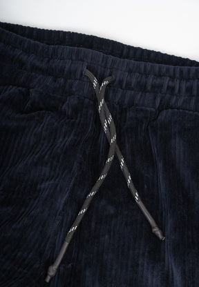 CONSTRUCTION PANTS INK