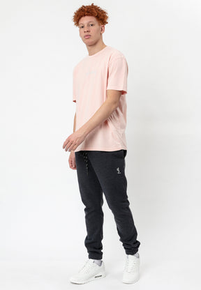 GIG T-SHIRT WASHED PINK